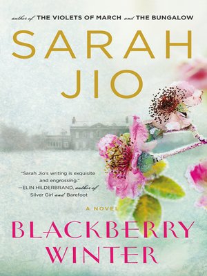 cover image of Blackberry Winter